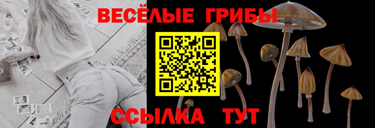 Псилоцибиновые грибы Cubensis Назарово
